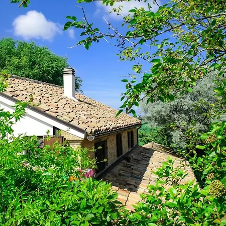 Studio Via Consolazione Appartement Castel Colonna